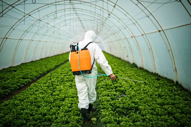 Best Mosquito Control Services  in Lakeview Estates, GA