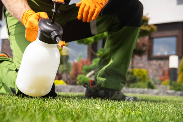 Best Wildlife Control Services  in Lakeview Estates, GA