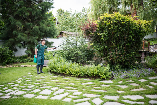 Wasp Removal Services in Lakeview Estates, GA