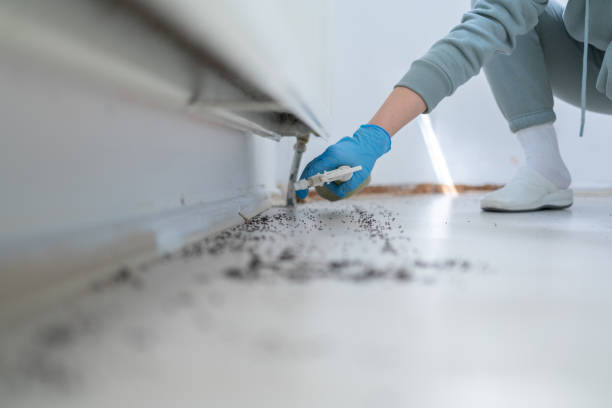Lakeview Estates, GA Pest Control Company