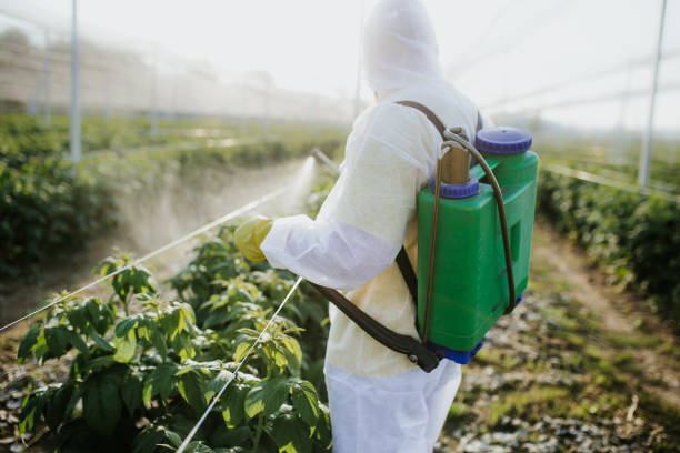  Lakeview Estates, GA Pest Control Pros